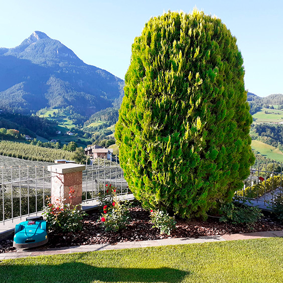 Siepe con panorama