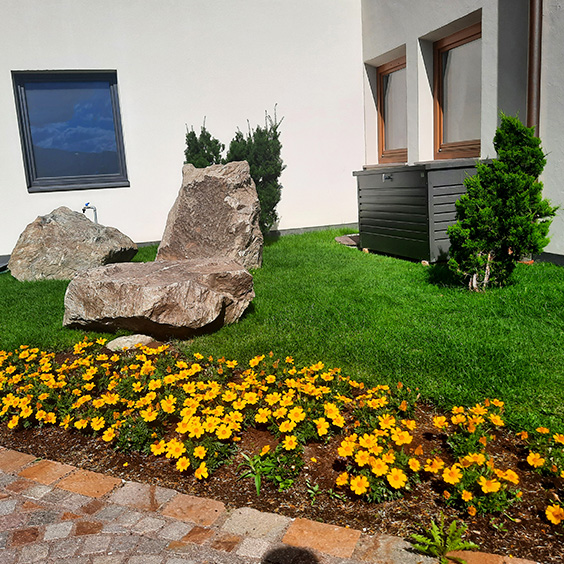 Fiori gialli
